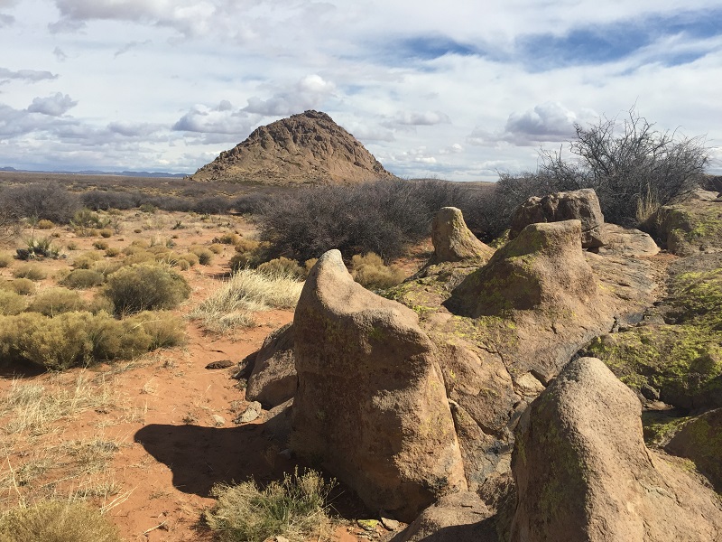 mammoth stones