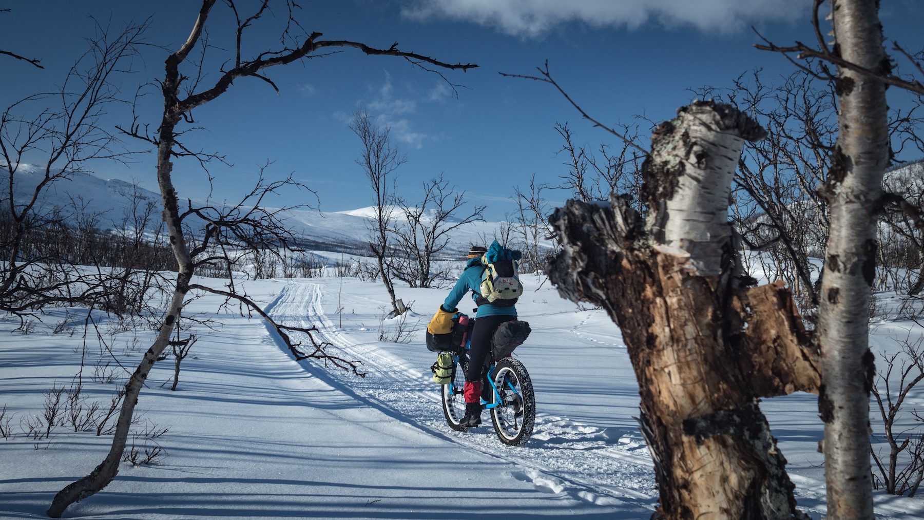 "All the planning, all the packing and all the hoping come to a head when you first set boot to pedal at the beginning of a trip. Our first day of riding in Lapland was beautiful: cold, clear and windless. The ski and snowmobile trails wound gently up the hill away from Abisko and Lake Tornetrask, through birch forest towards the mountains. The conditions were perfect for bike travel, and made us wonder if this might turn out to have been a good idea after all." ~Huw Oliver