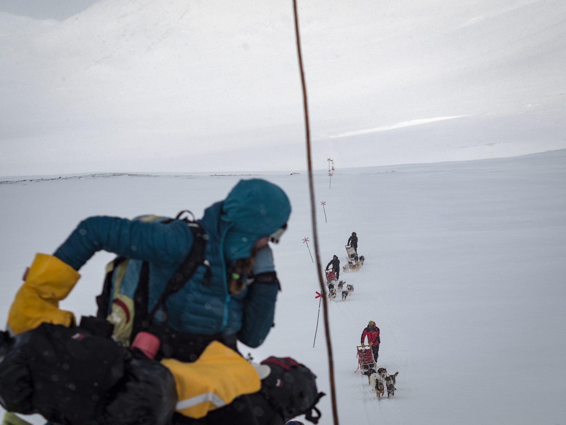 "We met the dogs the day we traveled over a high pass, swamped with deep snow. We had pushed our bikes on and off for several hours, when these guys appeared behind us. The dog teams move so easily, devouring the distance and, before long, they skidded to a halt next to us. Though slightly bemused by our bikes, the guide was positive about our efforts. He mentioned further down the valley, the scoured landscape wasn't good for his dogs and so left us with confidence that things were soon to improve for us." ~Annie Le Evans 